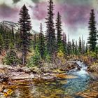 Paradise Creek, COnsolation Lakes, Banff