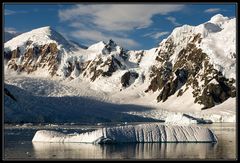 Paradise Harbour View