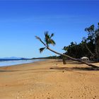 * Paradise / Mission Beach Qld.*