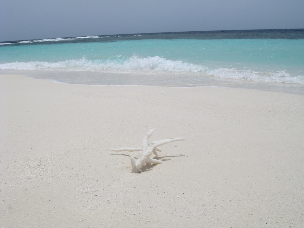 Paradise on Kandholhu, Maldives