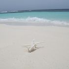 Paradise on Kandholhu, Maldives