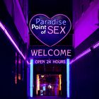 Paradise Point of Sex