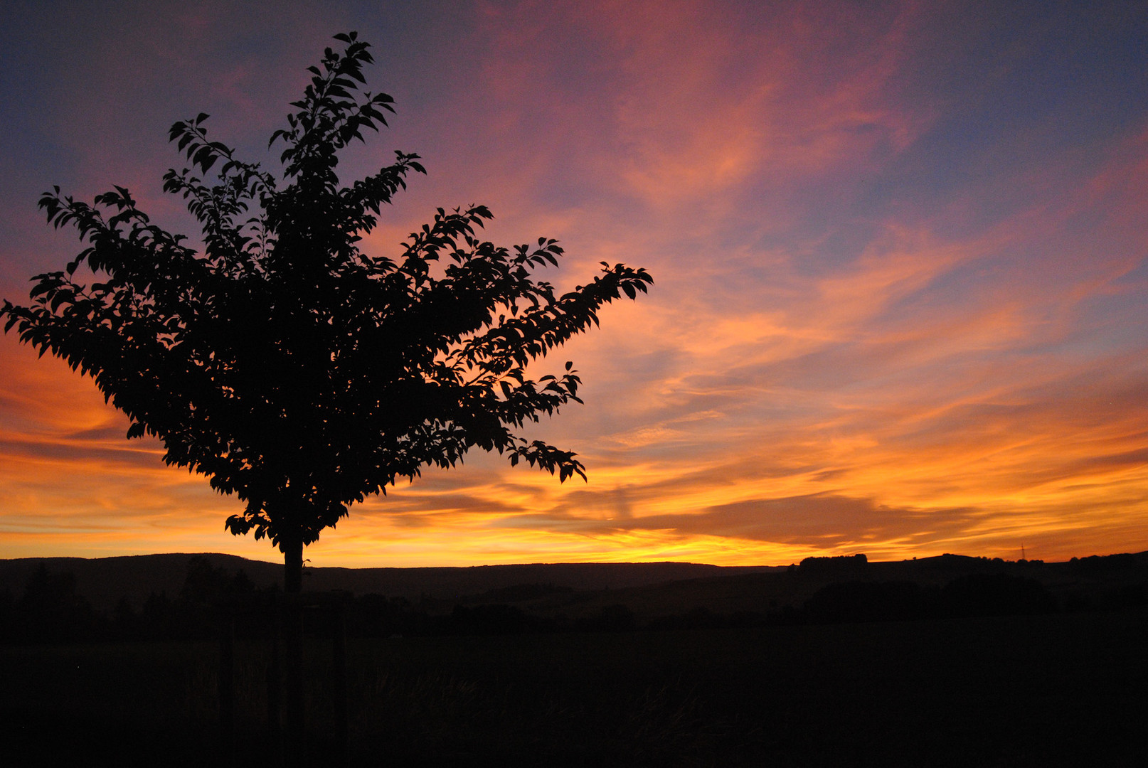 Paradise Sunset