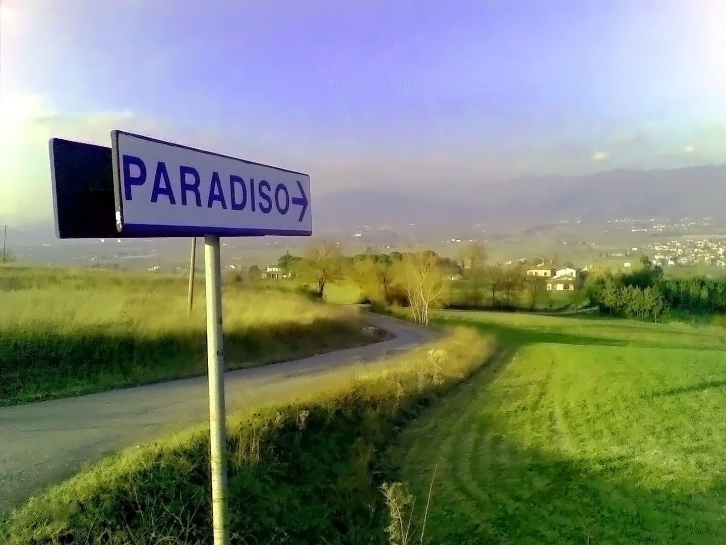 Paradise this way