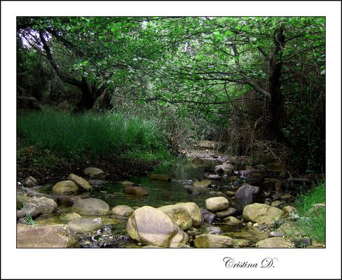 Paradisi dimenticati