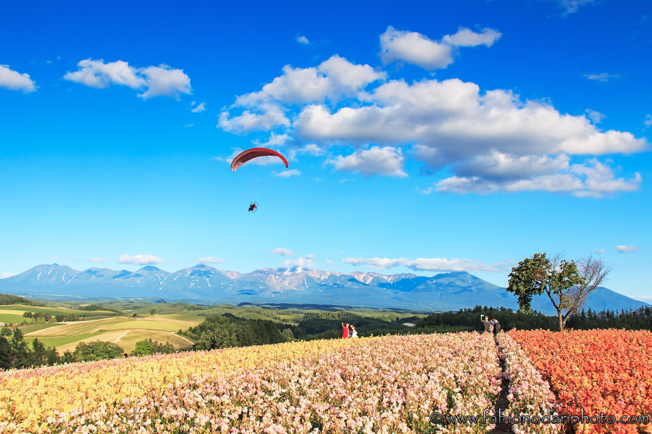 Paradiso a Hokkaido