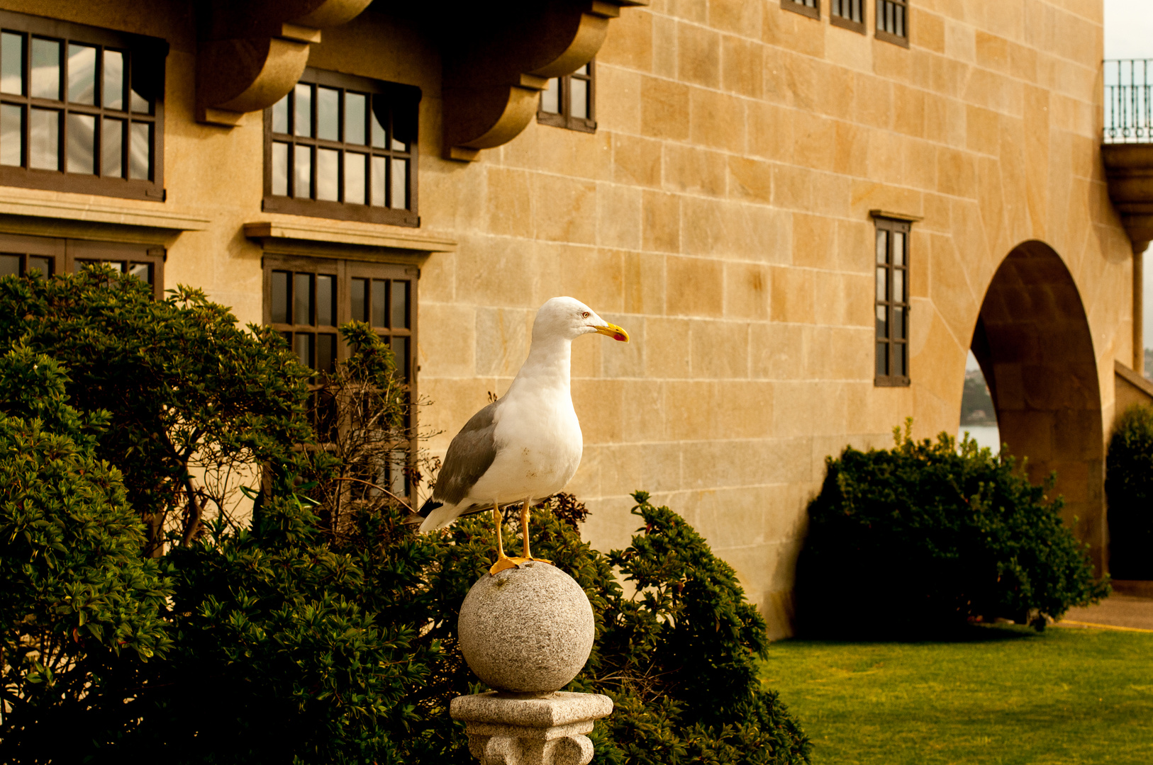 Parador de Bayona 2