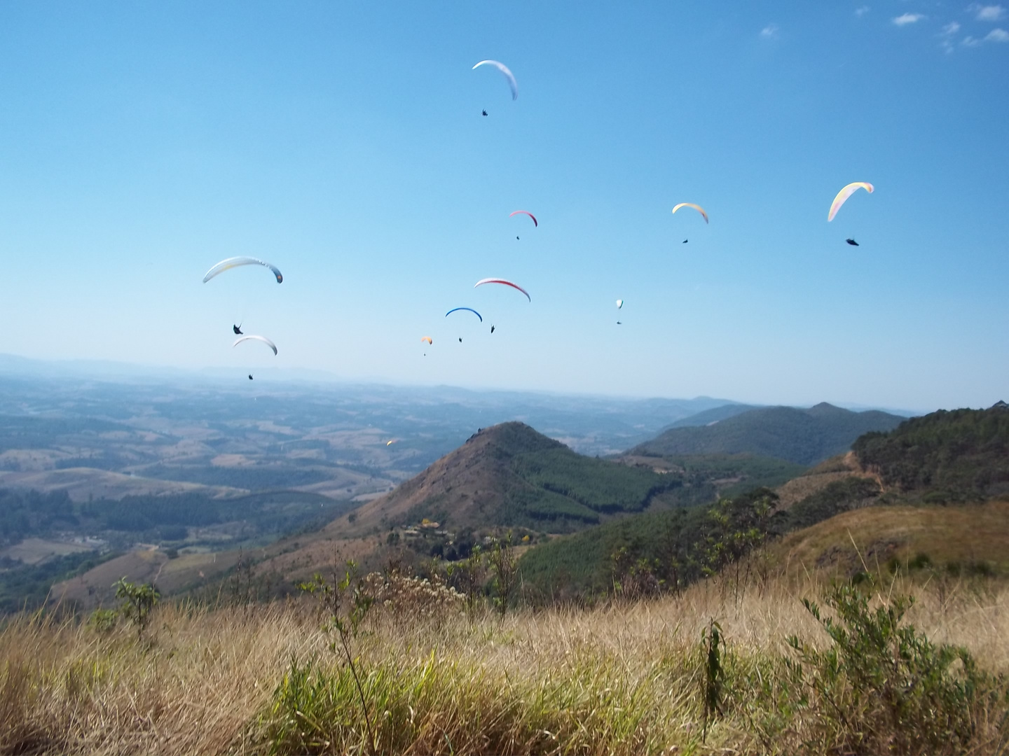 Paraglayder