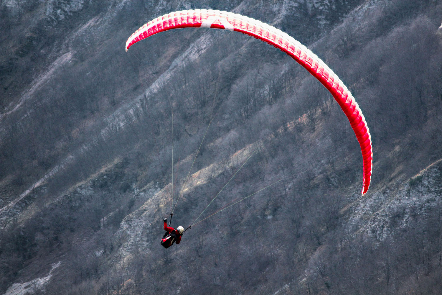 Paragleiter am Monte Nerone