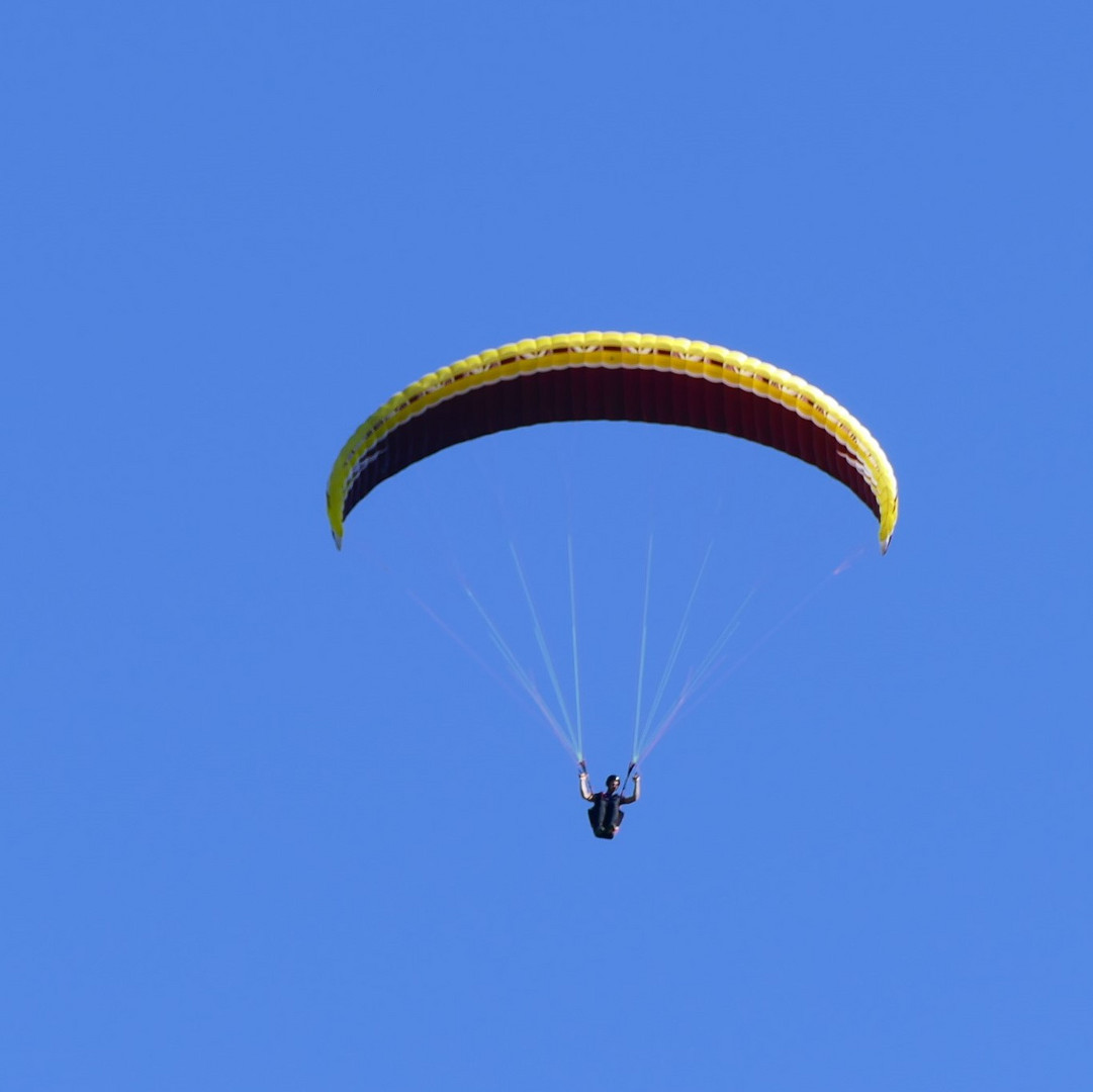 Paragleiter im Blau