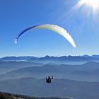 Paragleiter im Blauen Land vor der Alpenkulisse