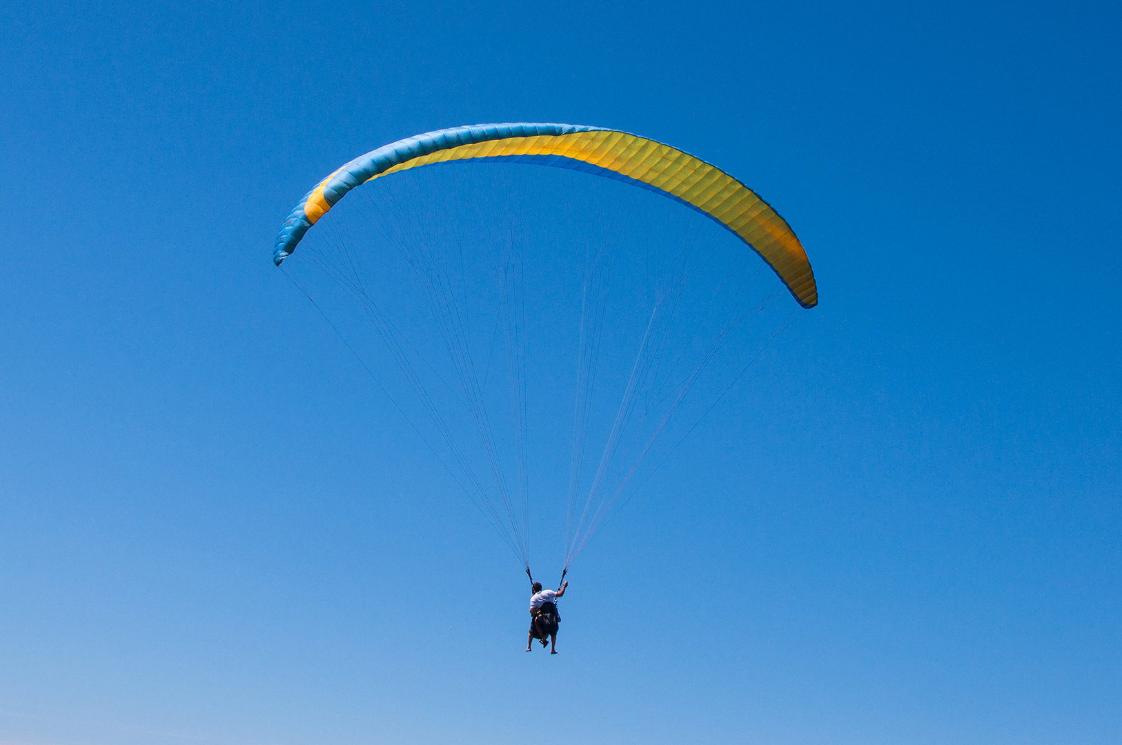 Paragleiter von oben, hinten