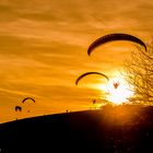 Paraglide Sonnenuntergang