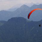 Paraglider