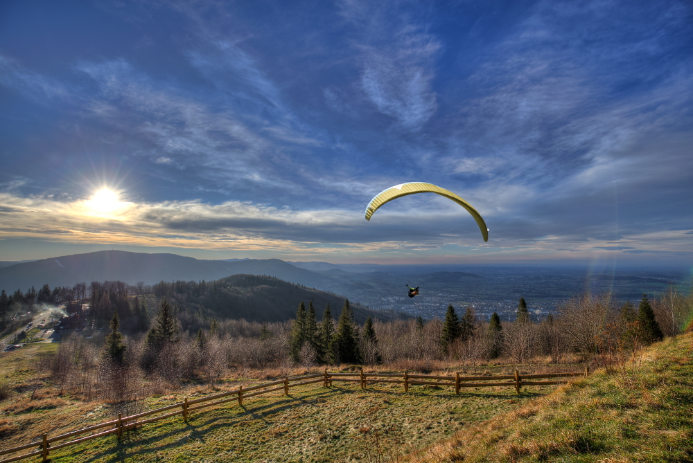 Paraglider