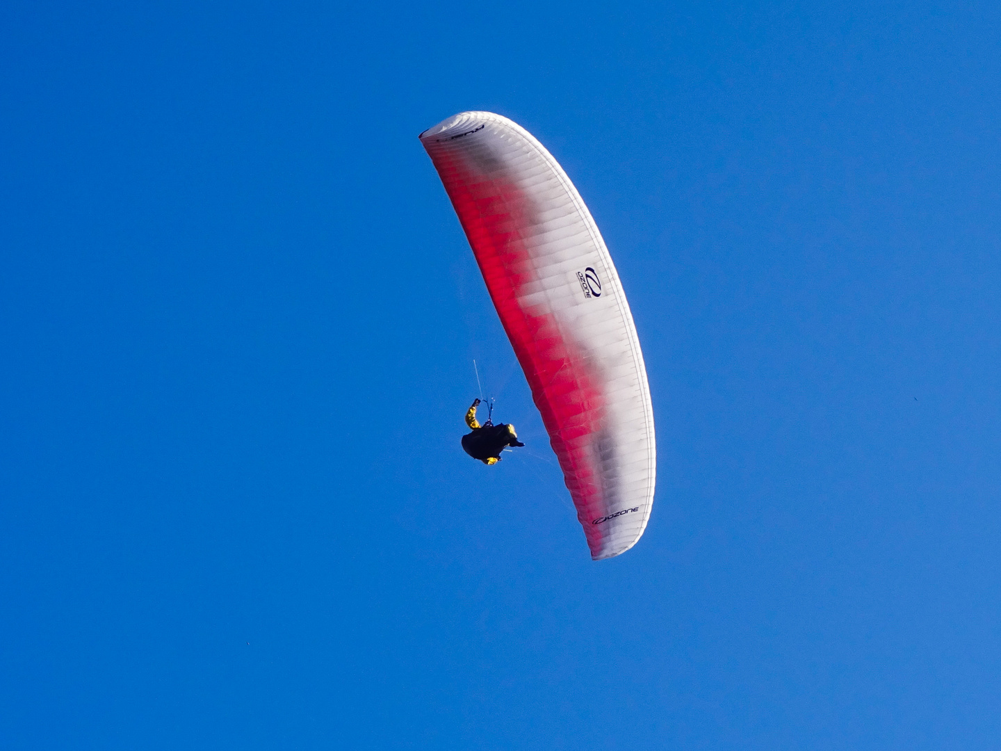 Paraglider 2018