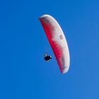 Paraglider 2018