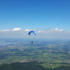 Paraglider