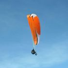 Paraglider