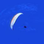 Paraglider