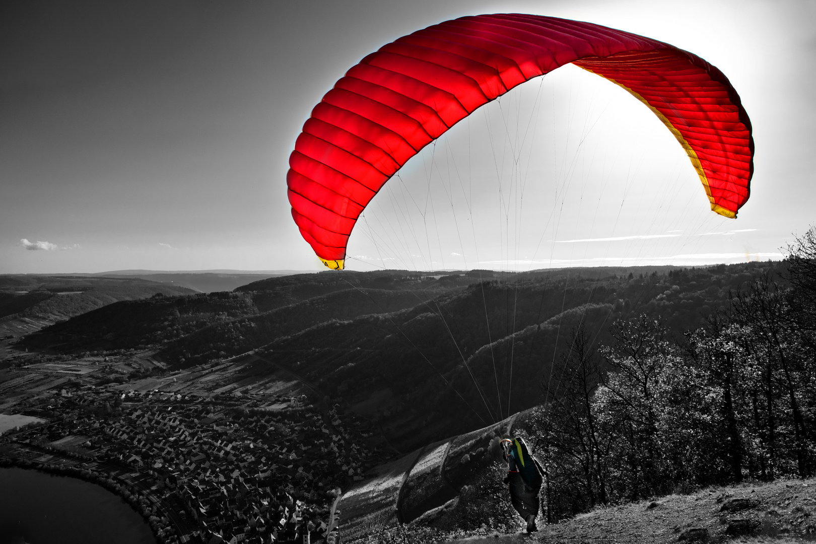 Paraglider