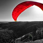 Paraglider