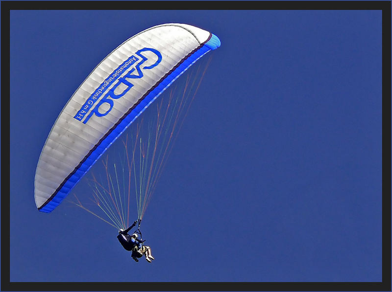 Paraglider