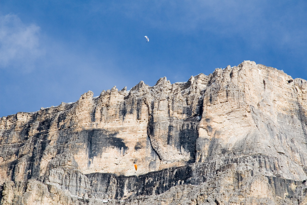 Paraglider