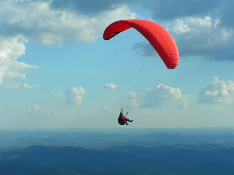 Paraglider