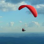 Paraglider