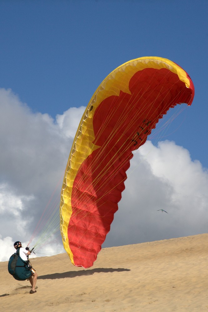 Paraglider