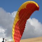 Paraglider