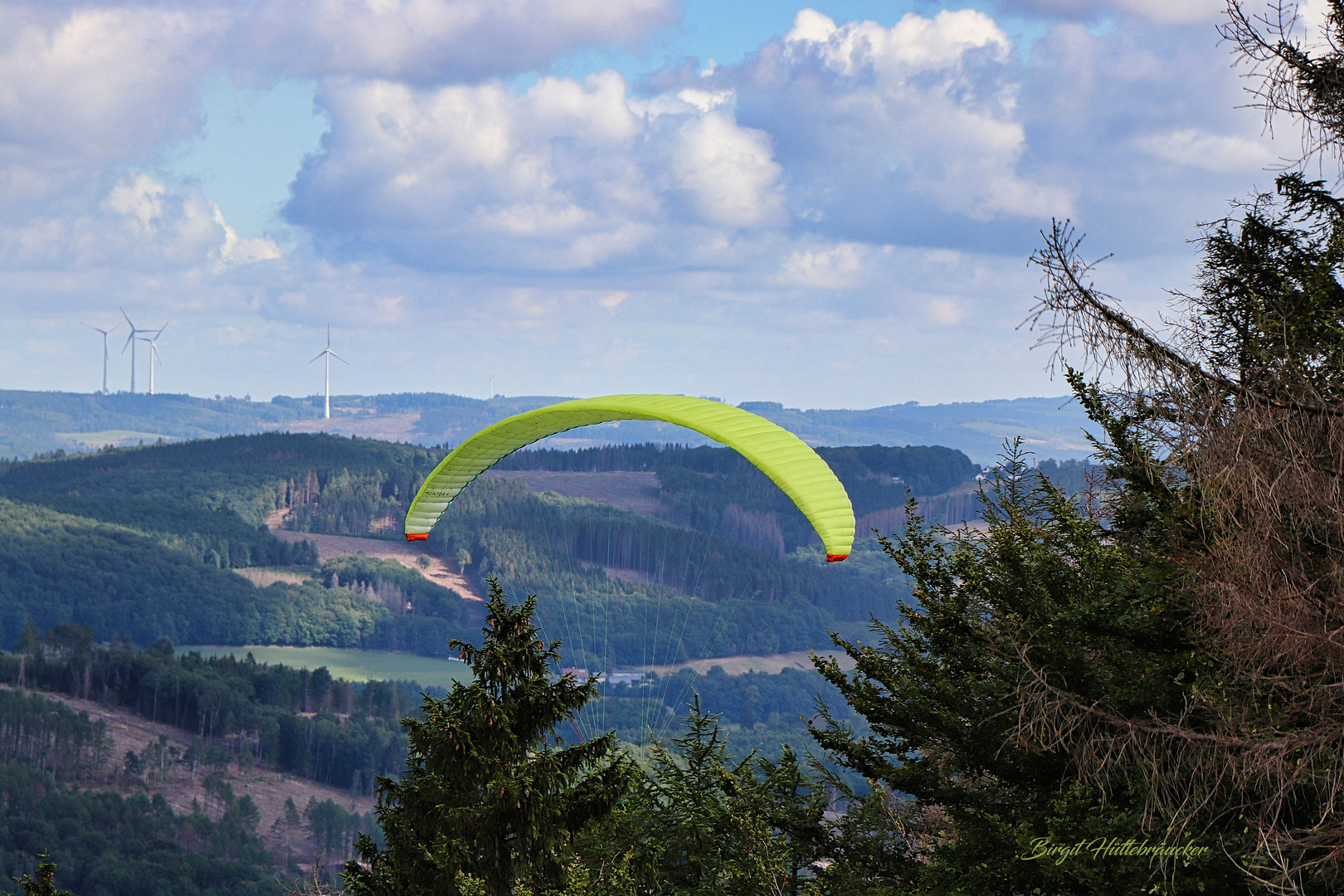 Paraglider