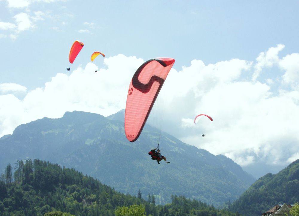 Paraglider