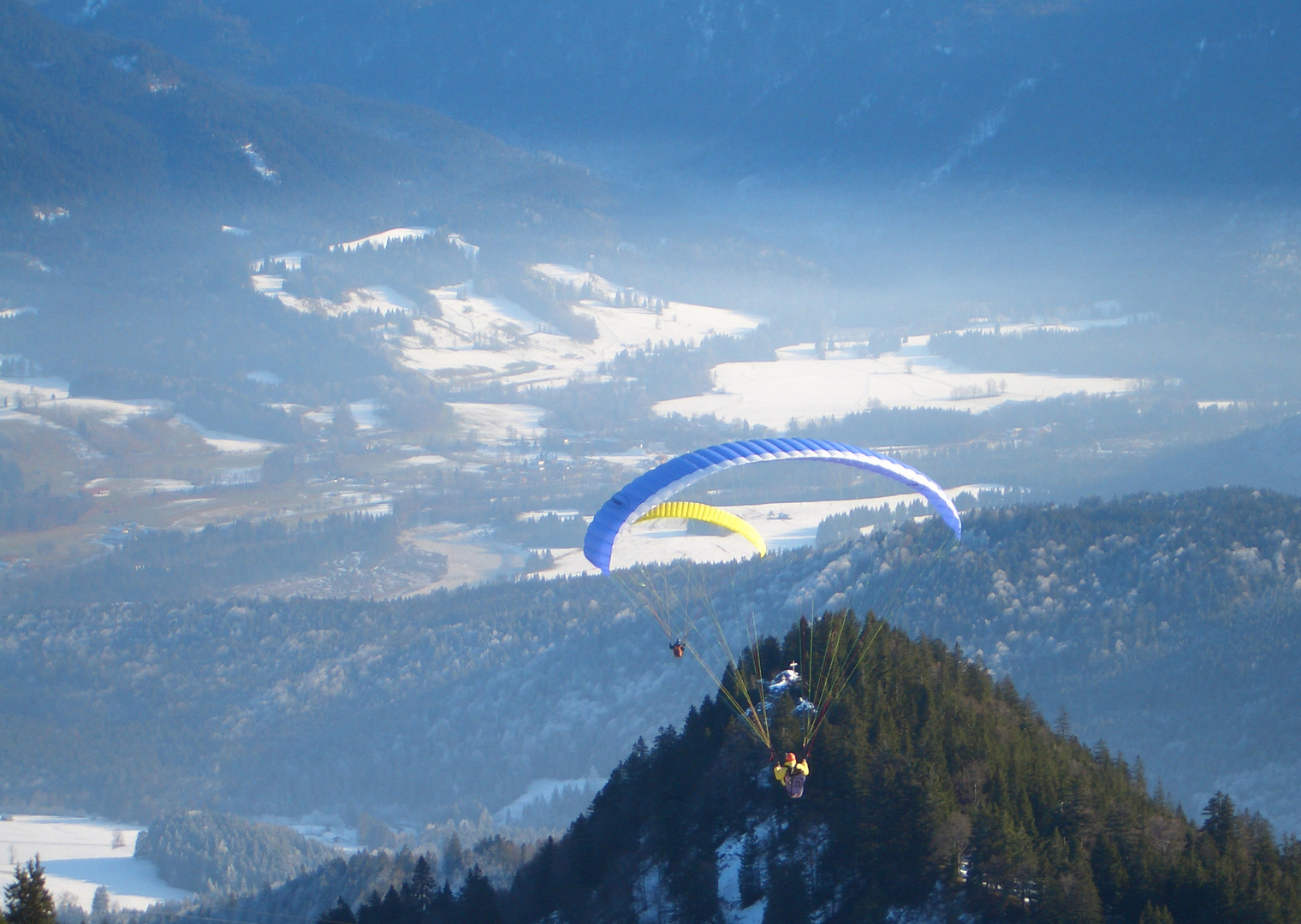 paraglider