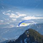 paraglider