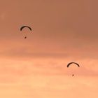 Paraglider