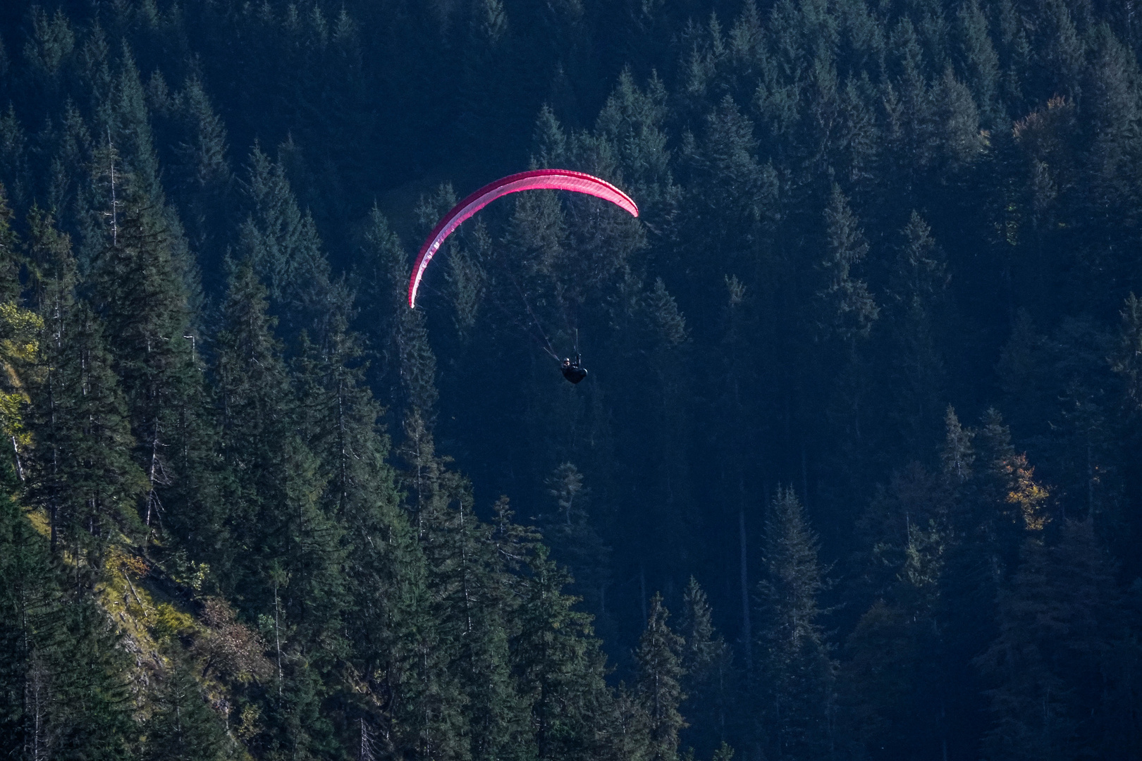 Paraglider ...