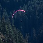 Paraglider ...