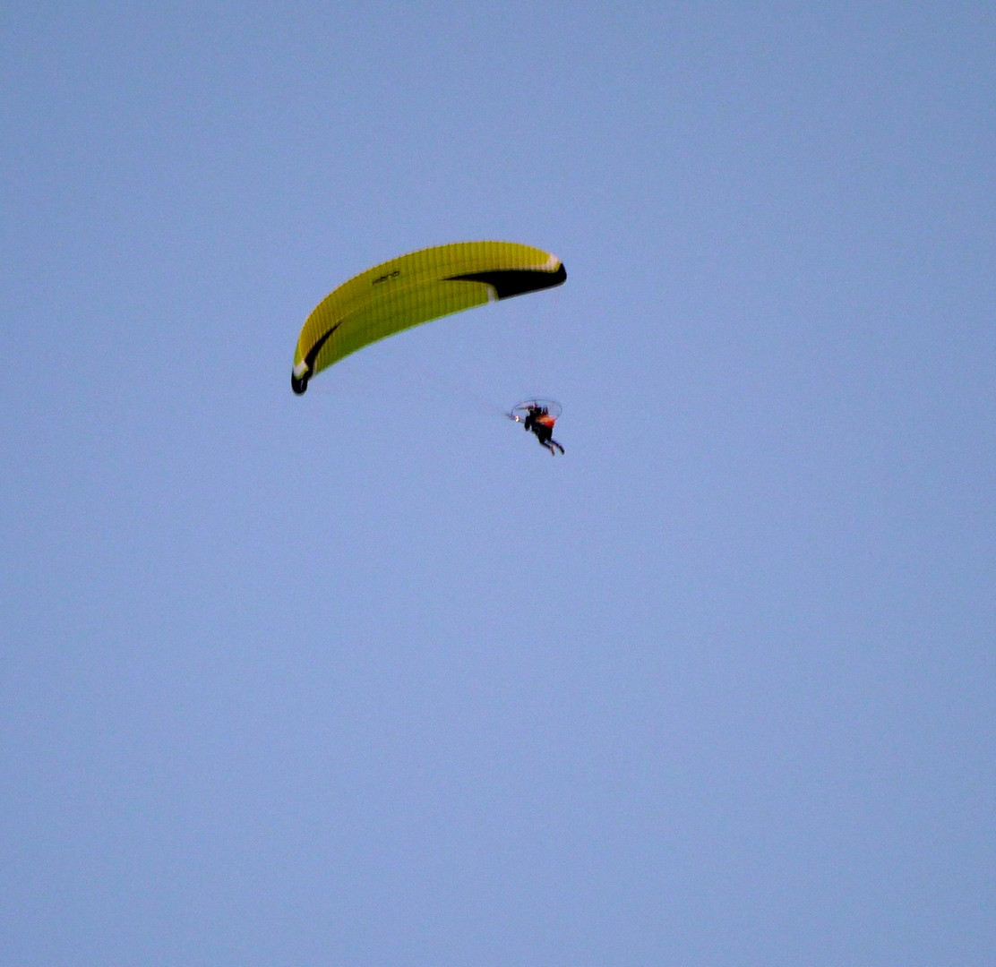 Paraglider