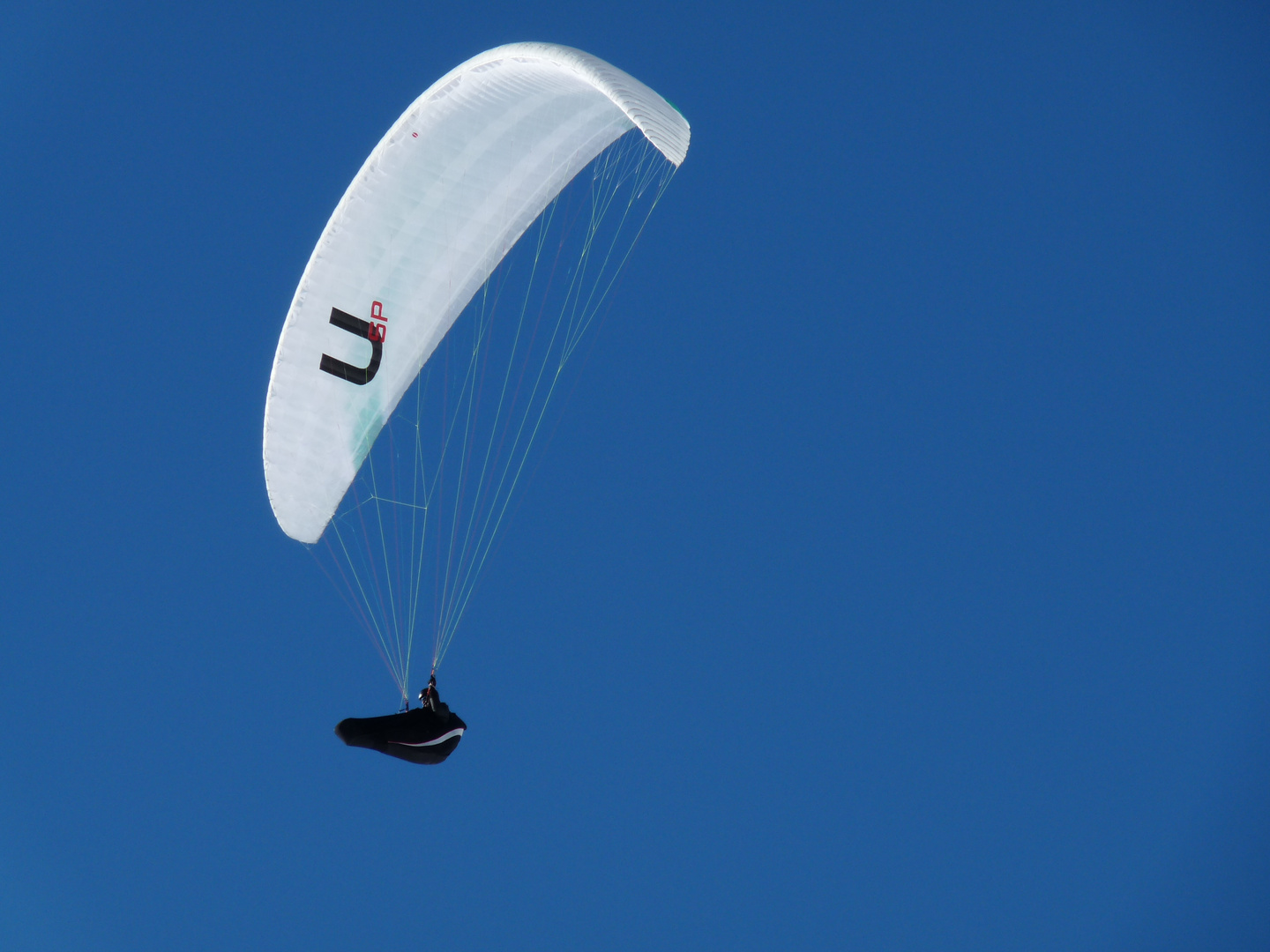 Paraglider