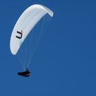 Paraglider