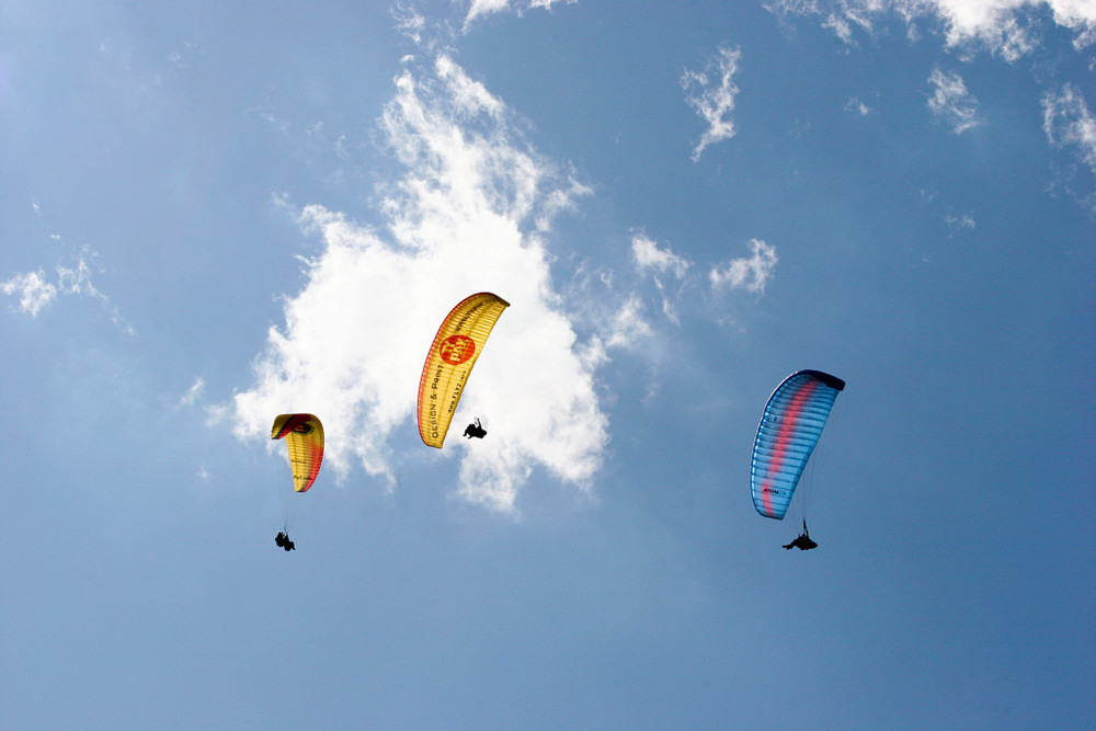 paraglider