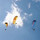 paraglider