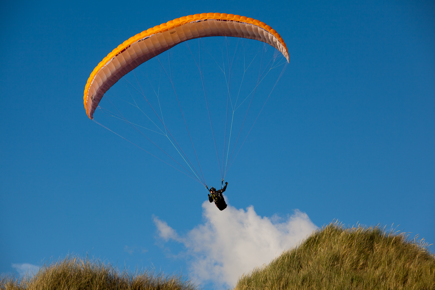 Paraglider