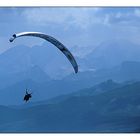 Paraglider