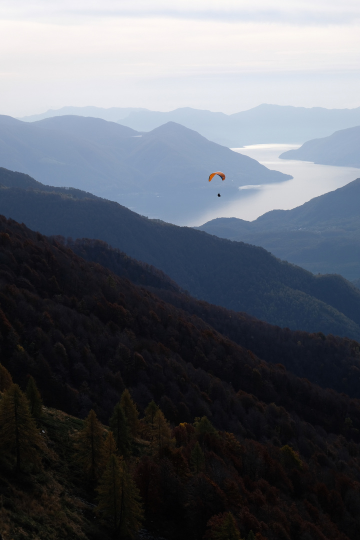 Paraglider