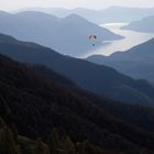 Paraglider