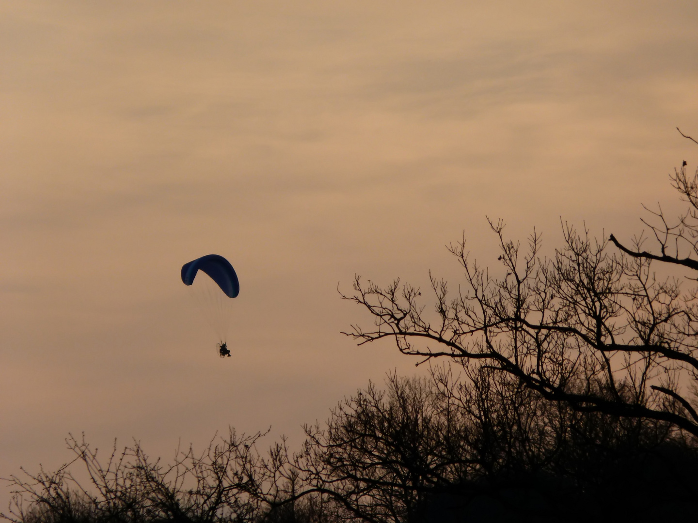 Paraglider am Abendhimmel