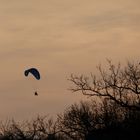 Paraglider am Abendhimmel